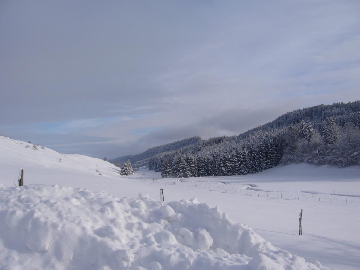 Hotel Auberge Du Grand Git La Chaux Neuve Luaran gambar